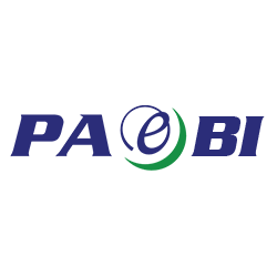 PAE Business Intelligence Logo